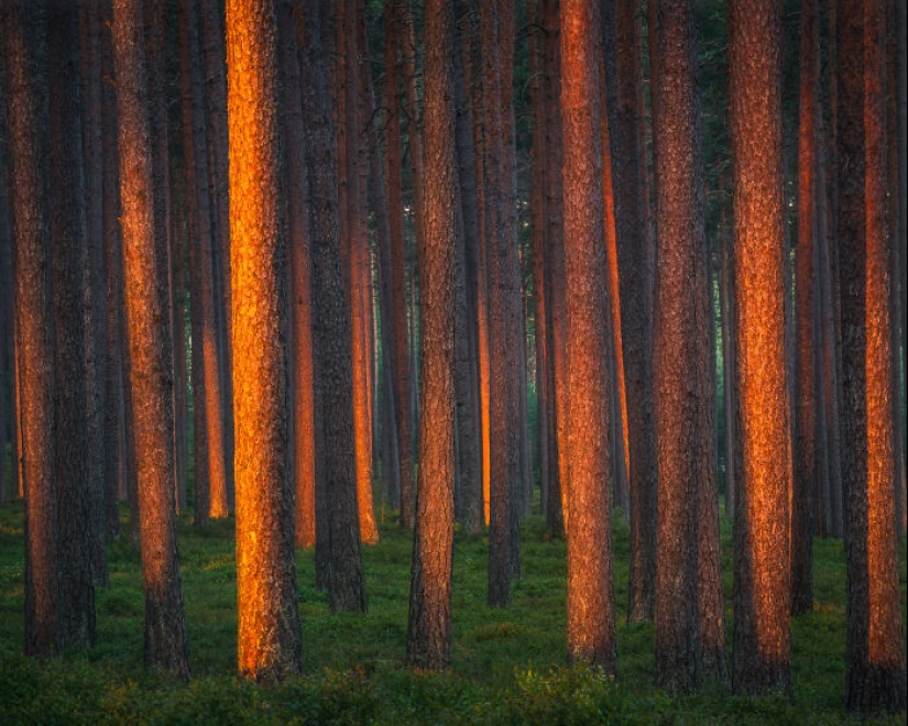 I Enjoy Capturing The Beauty Of Finland, Here Are 23 Of My Favorite Pictures