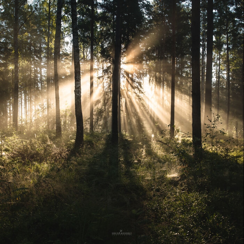 I Enjoy Capturing The Beauty Of Finland, Here Are 23 Of My Favorite Pictures