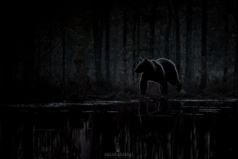 I Enjoy Capturing The Beauty Of Finland, Here Are 23 Of My Favorite Pictures