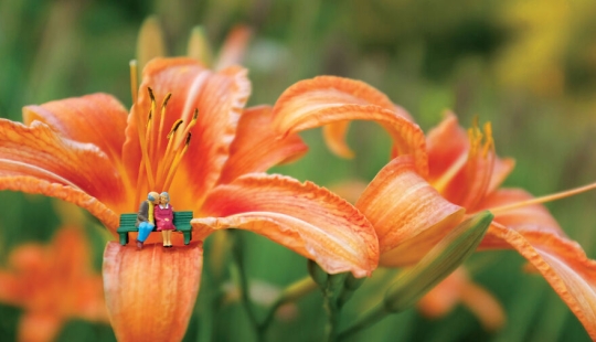 I Spent A Year Photographing The Tiny Residents Of Our Vegetable Farm, And Here Are The Best 10 Photos