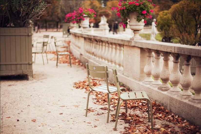 I want to go to France