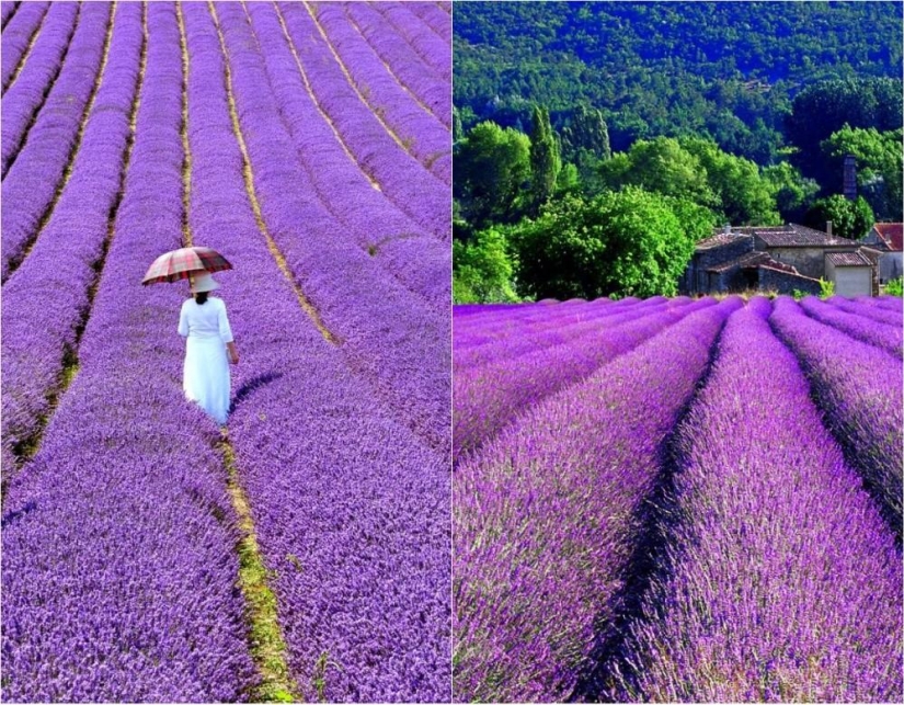 I want to go to France