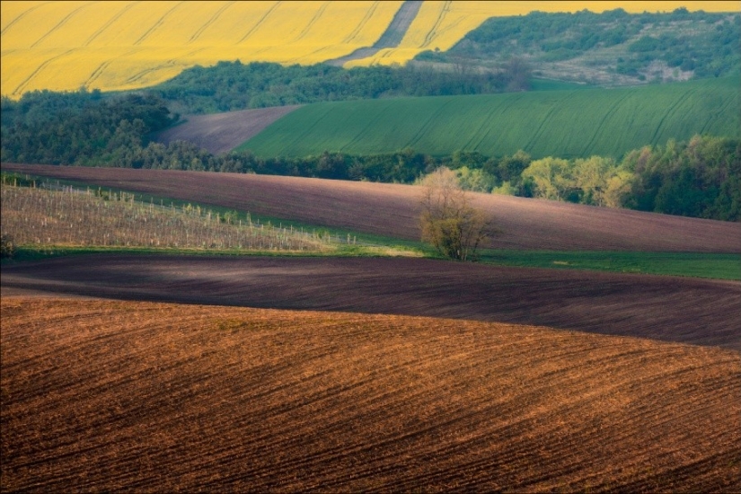 I want to go to the Czech Republic I want to go to the Czech Republic