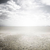 "I'm standing in the middle of the desert, waiting for the train"