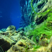 Icelandic fault Silfra - between two parts of the world