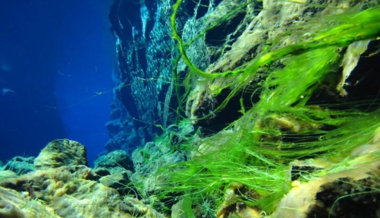 Icelandic fault Silfra - between two parts of the world Icelandic fault Silfra - between two parts of the world