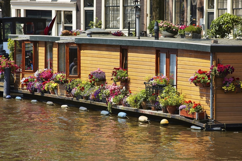 If you want to relax, then you are in Holland If you want to relax, then you are in Holland