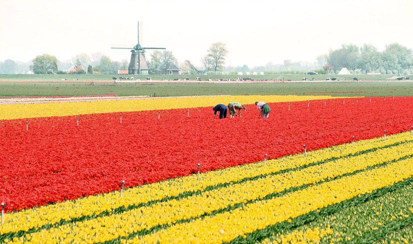 If you want to relax, then you are in Holland If you want to relax, then you are in Holland