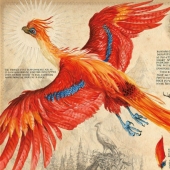 Ilustraciones mágicas de los libros de Harry Potter