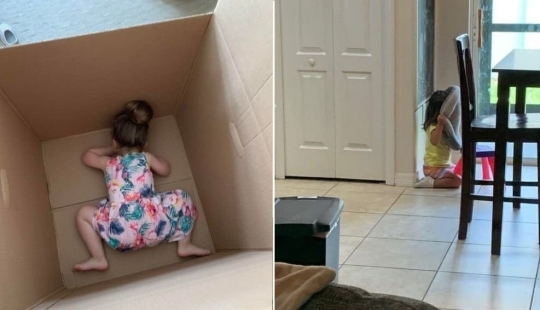 I'm Going To Seek: 13 Adorable Toddlers Playing Hide And Seek I'm Going To Seek: 13 Adorable Toddlers Playing Hide And Seek