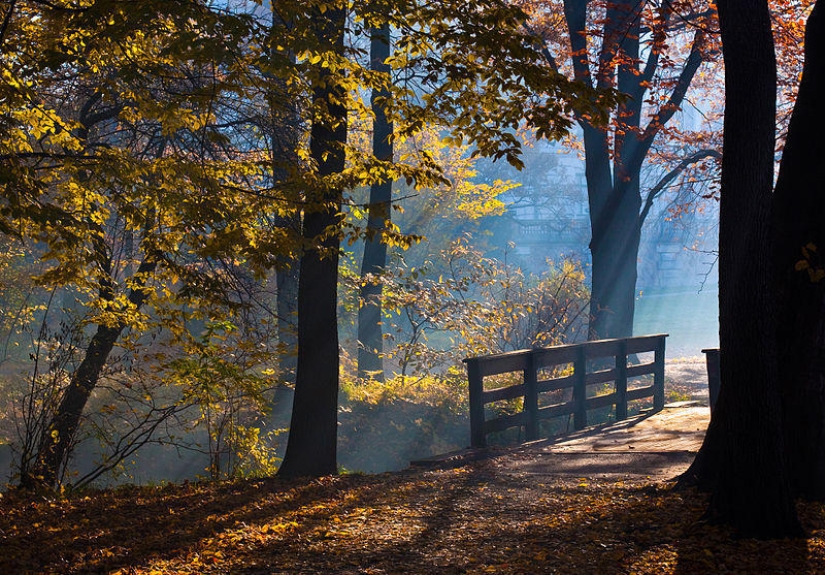 Imágenes de Wikipedia más vistas de 2012