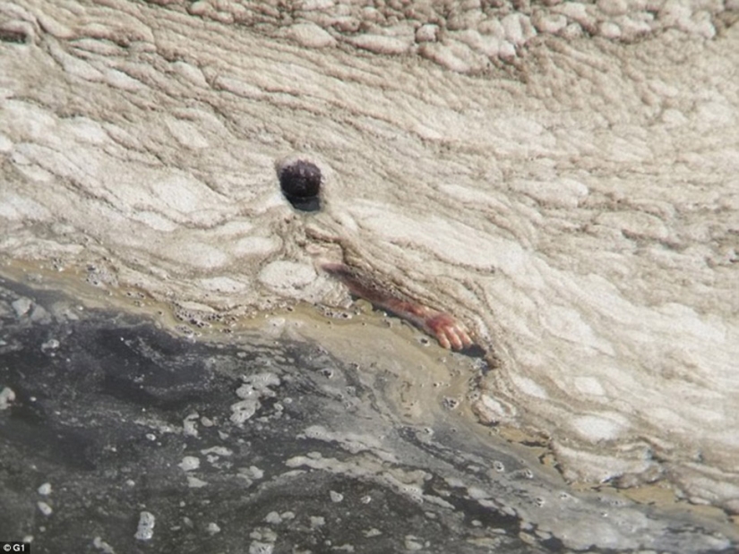 Impactantes imágenes de lo que los atletas tendrán que nadar en Río