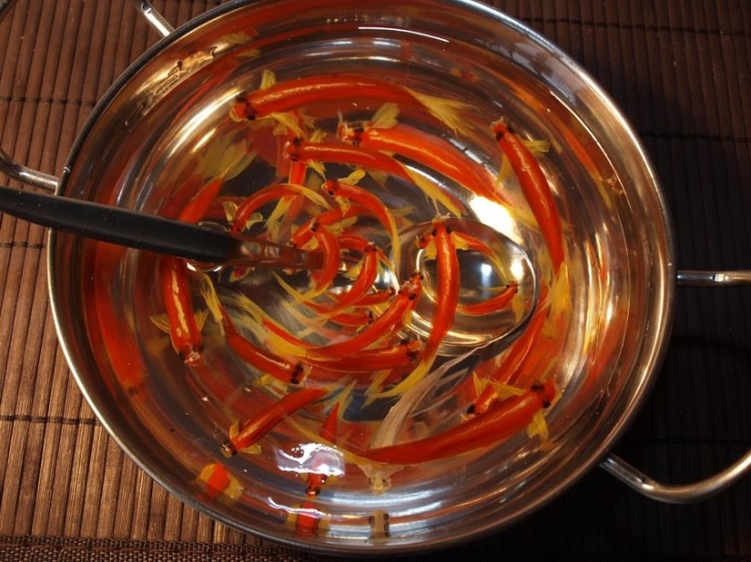 Impresionantes dibujos tridimensionales del artista japonés Ryusuke Fukahori Impresionantes dibujos tridimensionales del artista japonés Ryusuke Fukahori