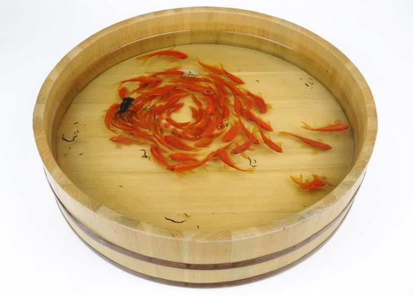 Impresionantes dibujos tridimensionales del artista japonés Ryusuke Fukahori Impresionantes dibujos tridimensionales del artista japonés Ryusuke Fukahori