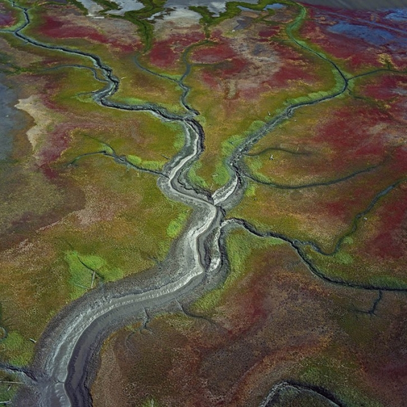 Impresionantes fotos de los cuerpos de agua de la Tierra desde el aire.