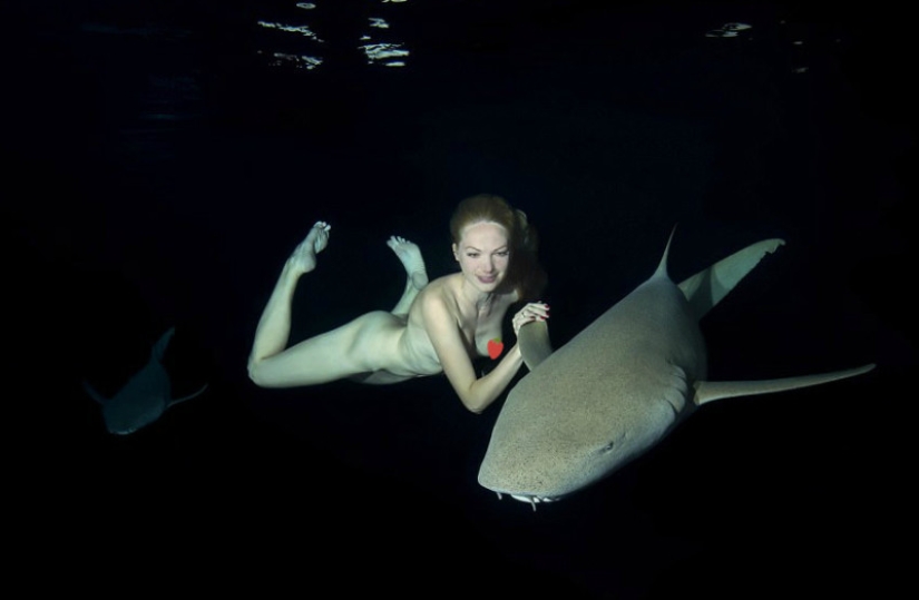 Impresionantes imágenes submarinas: Modelo rusa desnuda nada con tiburones