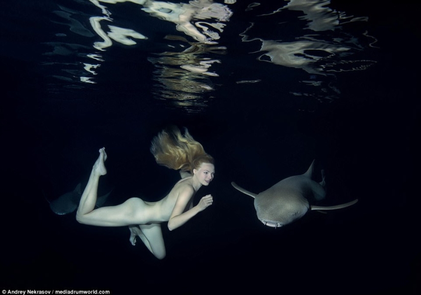 Impresionantes imágenes submarinas: Modelo rusa desnuda nada con tiburones