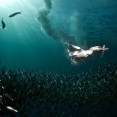 In a new month, in a new day