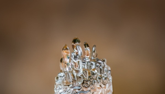 In Macro Photos, Barry Webb Captures the Fleeting, Otherworldly Characteristics of Slime Molds and Fungi In Macro Photos, Barry Webb Captures the Fleeting, Otherworldly Characteristics of Slime Molds and Fungi