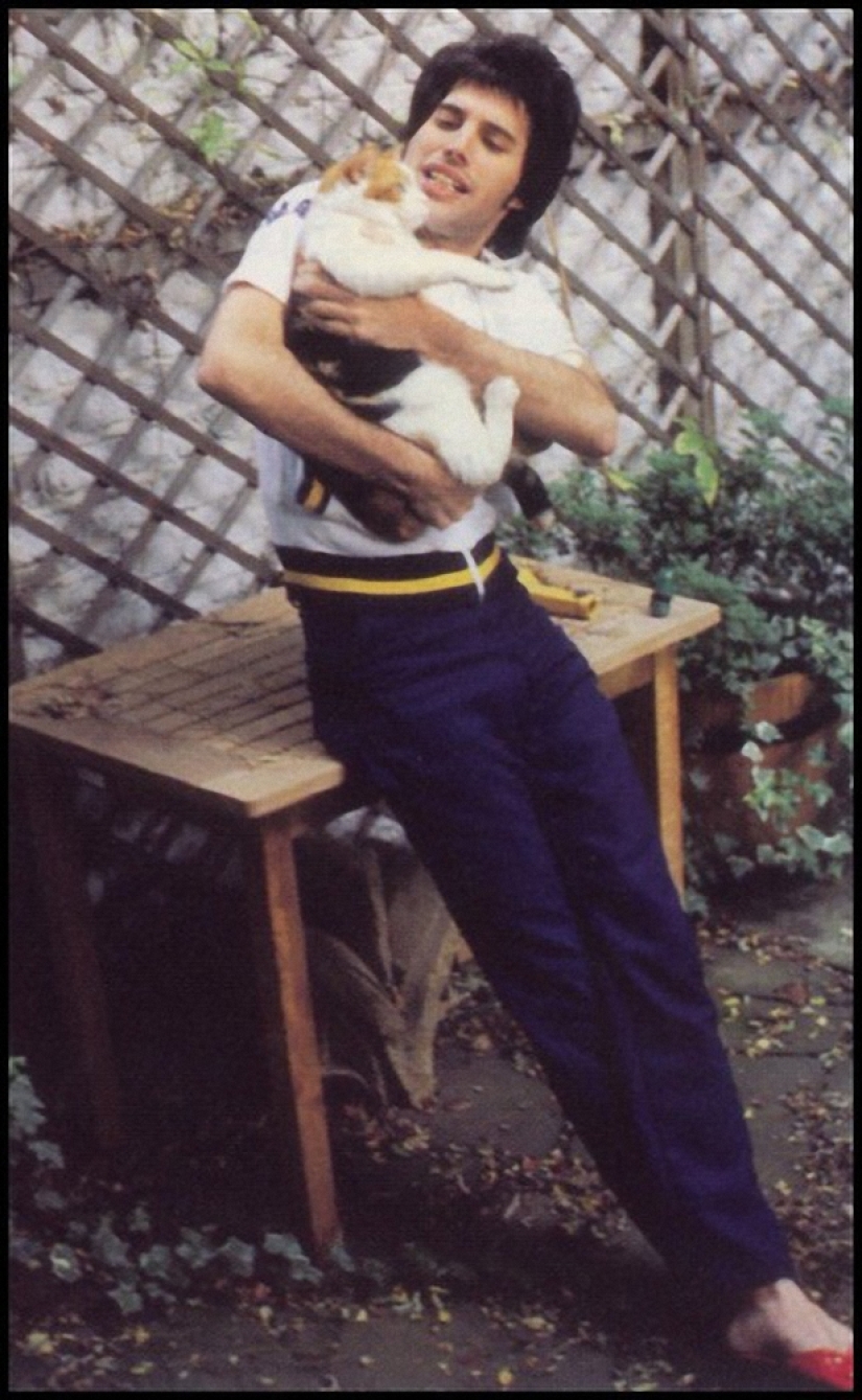 In memory of Freddie Mercury In memory of Freddie Mercury