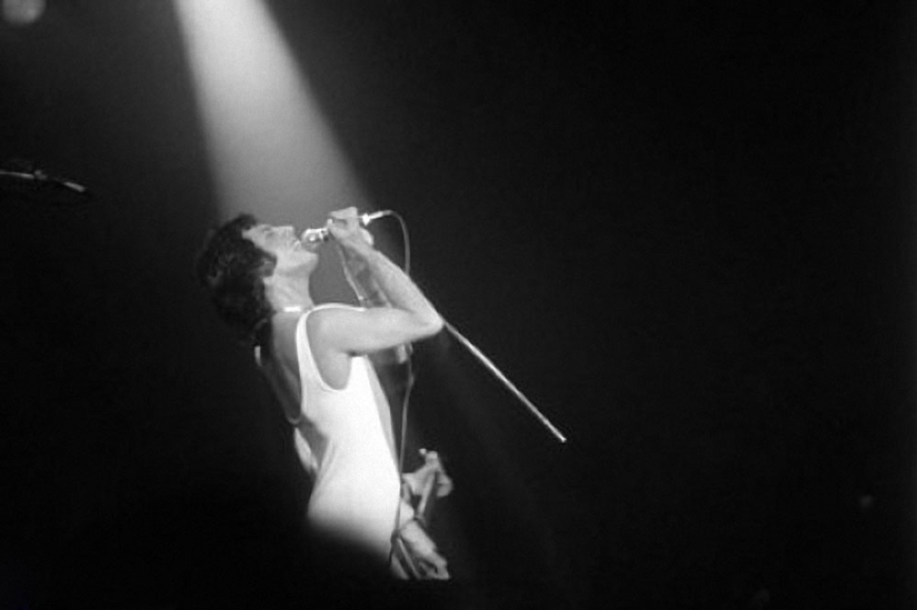 In memory of Freddie Mercury In memory of Freddie Mercury