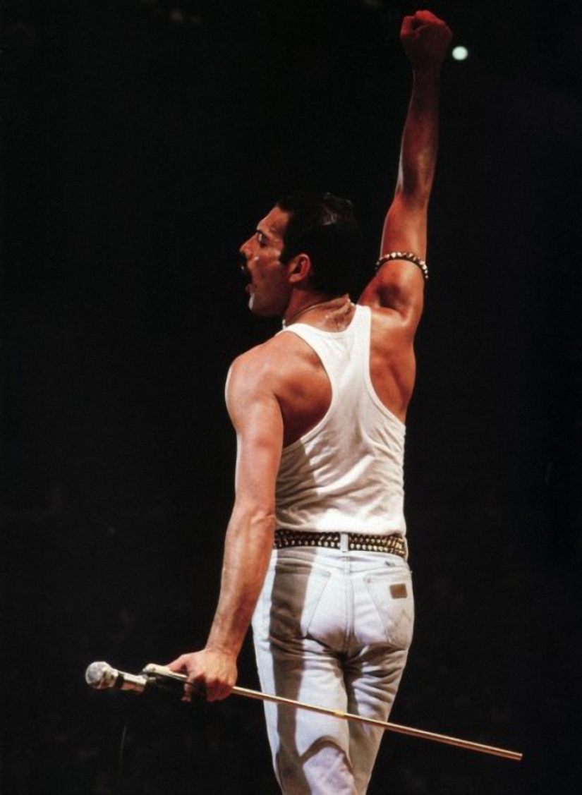 In memory of Freddie Mercury In memory of Freddie Mercury