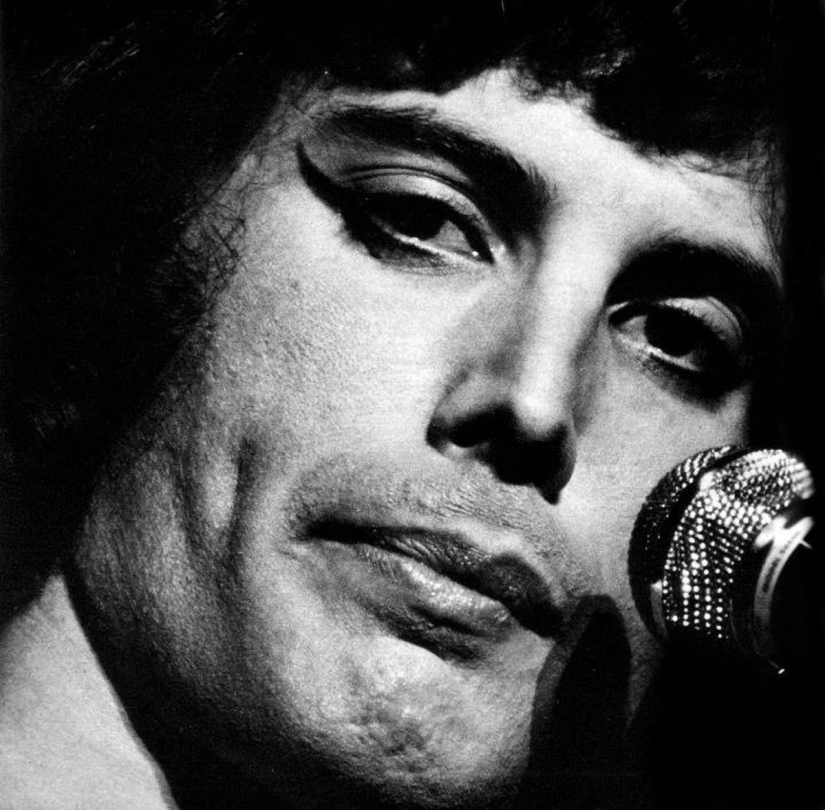 In memory of Freddie Mercury In memory of Freddie Mercury