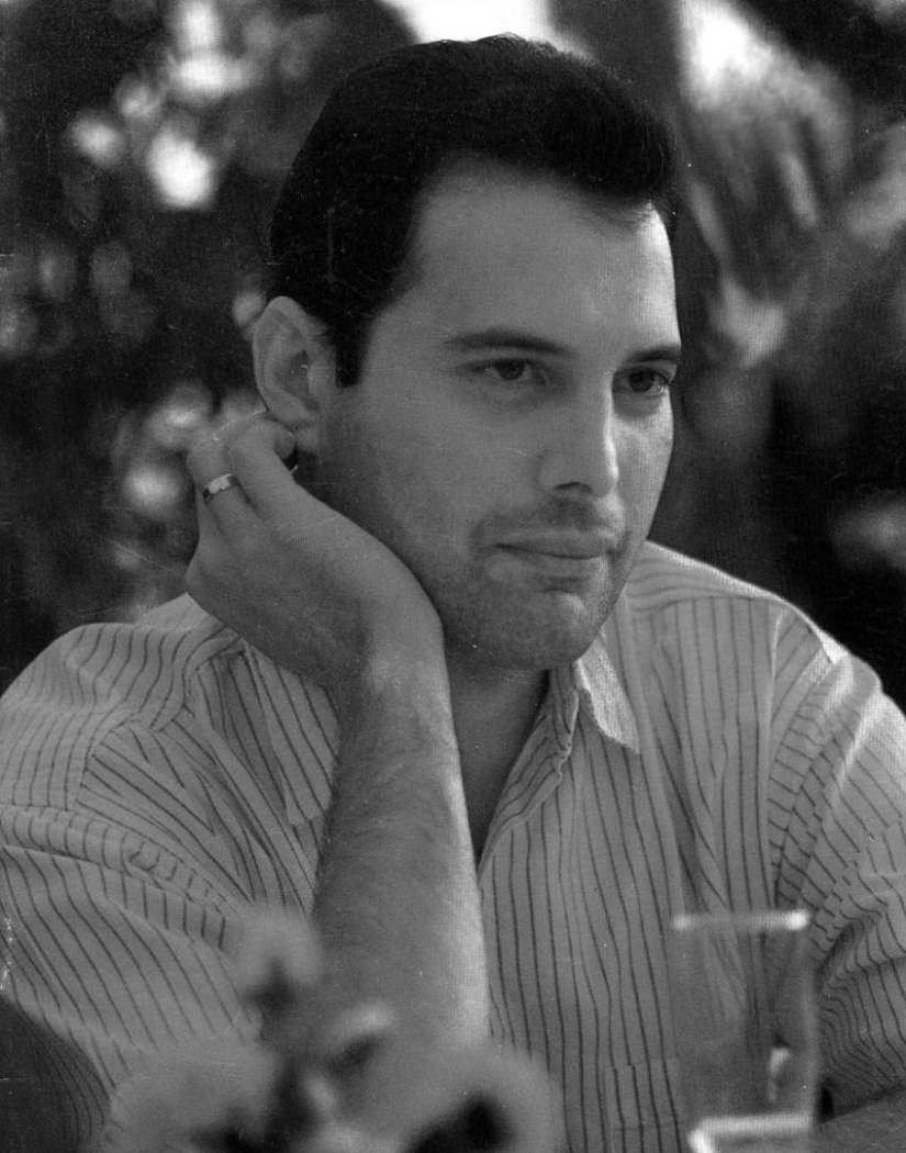 In memory of Freddie Mercury In memory of Freddie Mercury