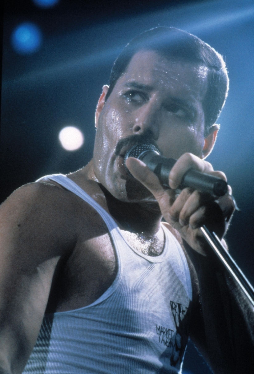In memory of Freddie Mercury In memory of Freddie Mercury