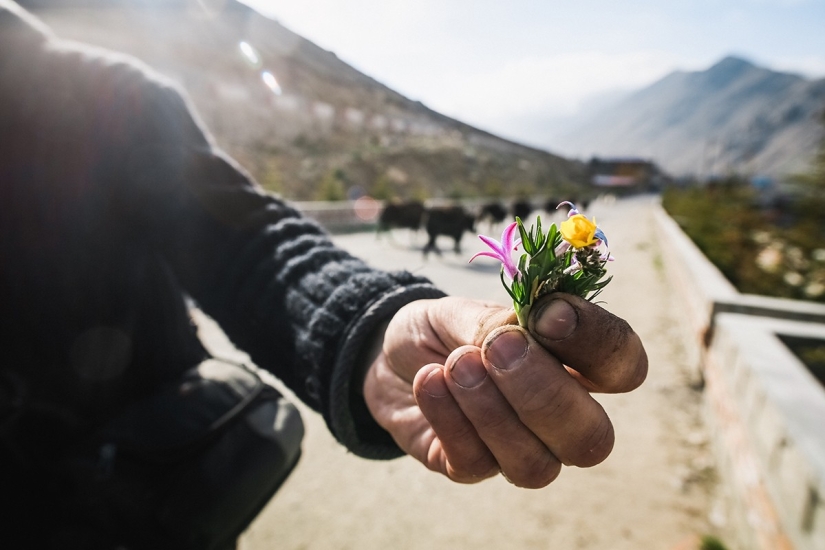 In search of magic: on the other side of the border In search of magic: on the other side of the border