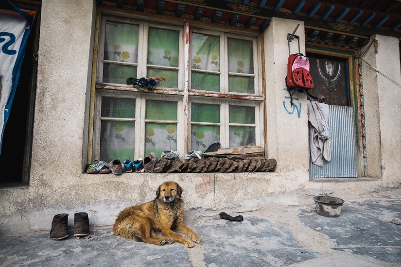 In search of magic: on the other side of the border In search of magic: on the other side of the border