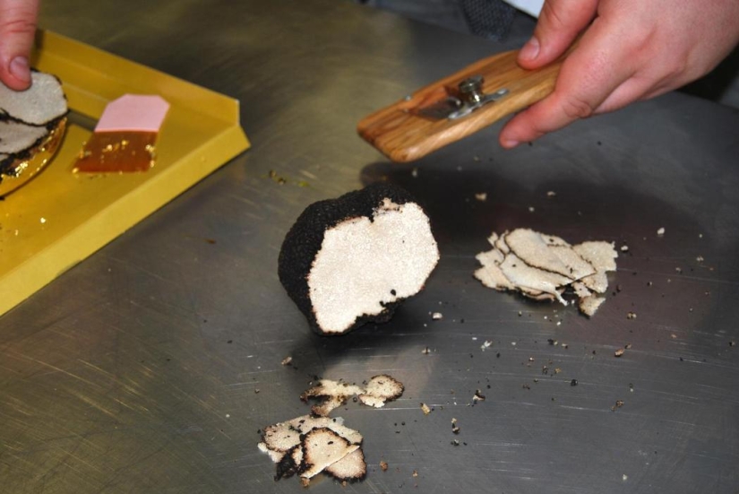 In the Netherlands, the most expensive burger in the world was created at a price of 131 thousand rubles