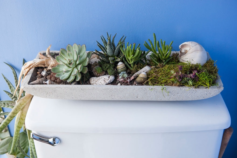 In the urban jungle: a model from New York grows more than 500 plants in an apartment In the urban jungle: a model from New York grows more than 500 plants in an apartment