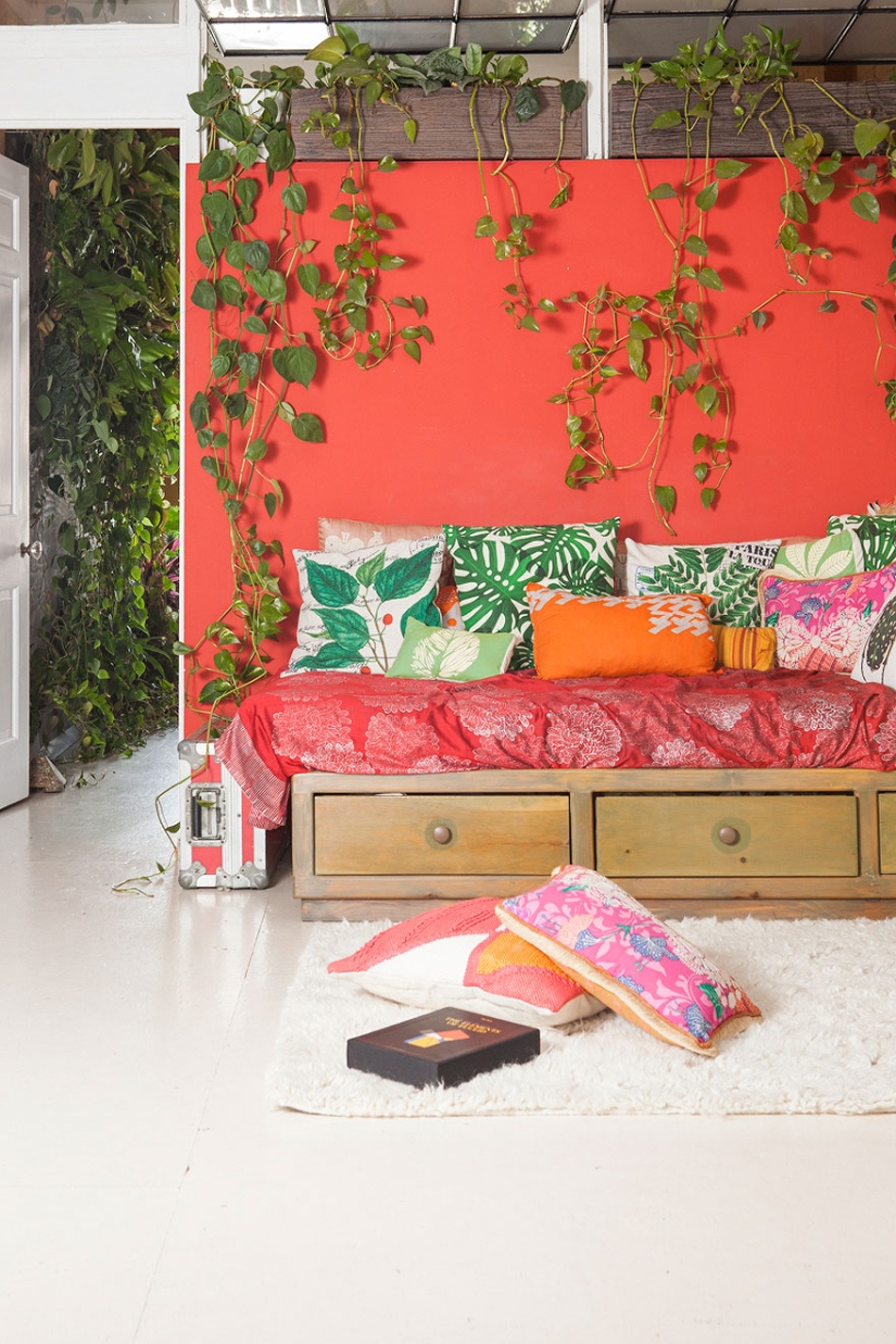 In the urban jungle: a model from New York grows more than 500 plants in an apartment In the urban jungle: a model from New York grows more than 500 plants in an apartment