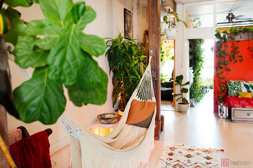 In the urban jungle: a model from New York grows more than 500 plants in an apartment In the urban jungle: a model from New York grows more than 500 plants in an apartment