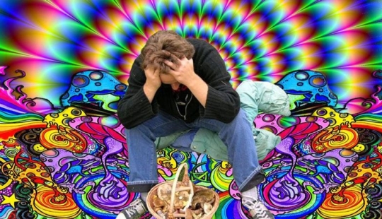 In the USA, they came up with the idea of treating alcoholism with hallucinogenic mushrooms