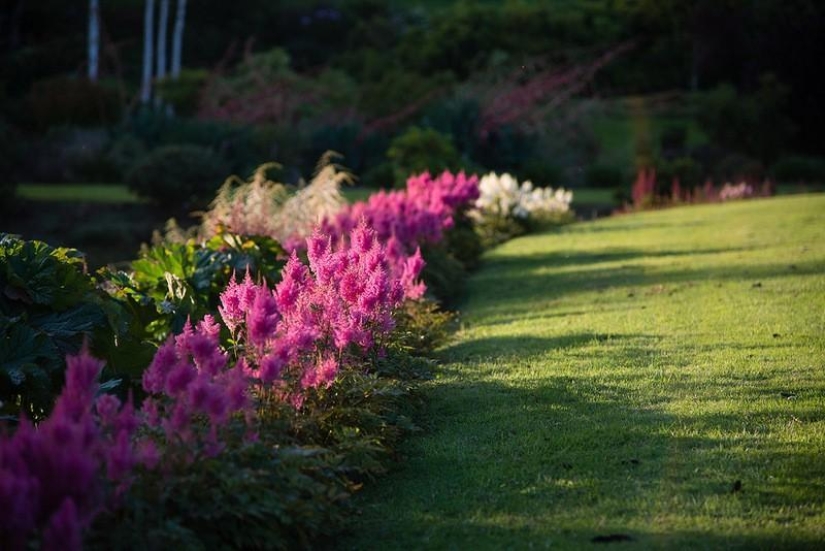 Increíble Maple Glen en Nueva Zelanda Increíble Maple Glen en Nueva Zelanda