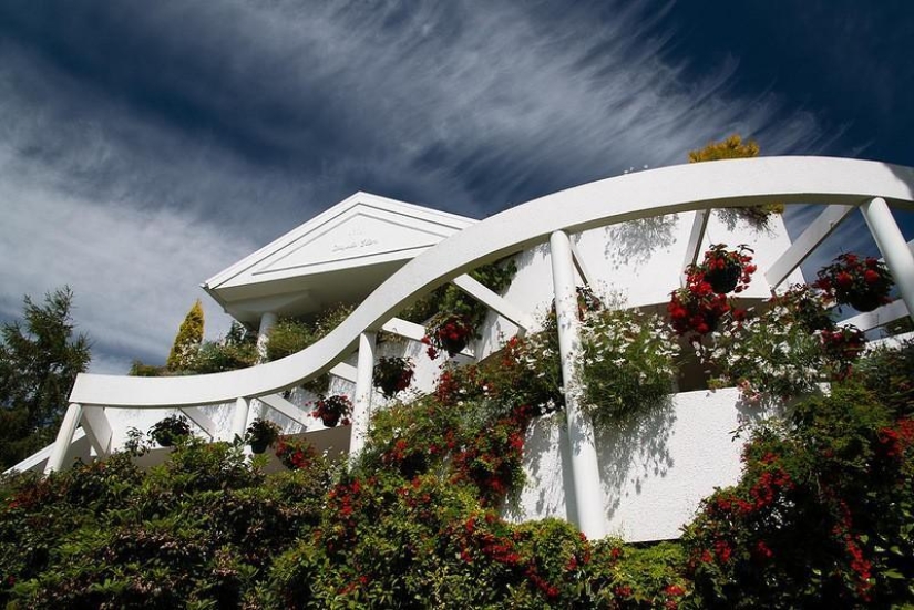 Increíble Maple Glen en Nueva Zelanda Increíble Maple Glen en Nueva Zelanda