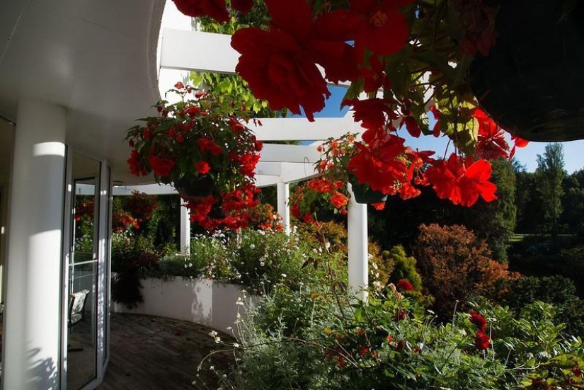 Increíble Maple Glen en Nueva Zelanda Increíble Maple Glen en Nueva Zelanda