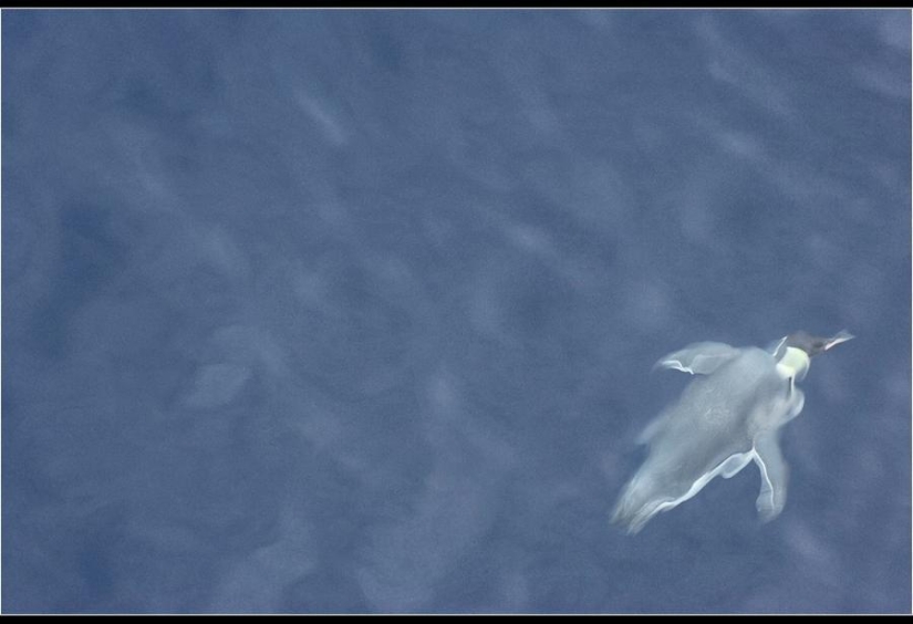 Increíbles fotos heladas de John Weller Increíbles fotos heladas de John Weller