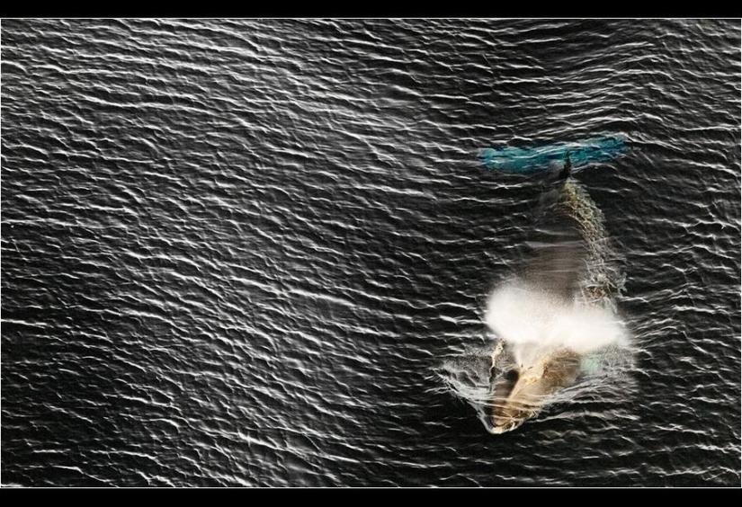 Increíbles fotos heladas de John Weller Increíbles fotos heladas de John Weller