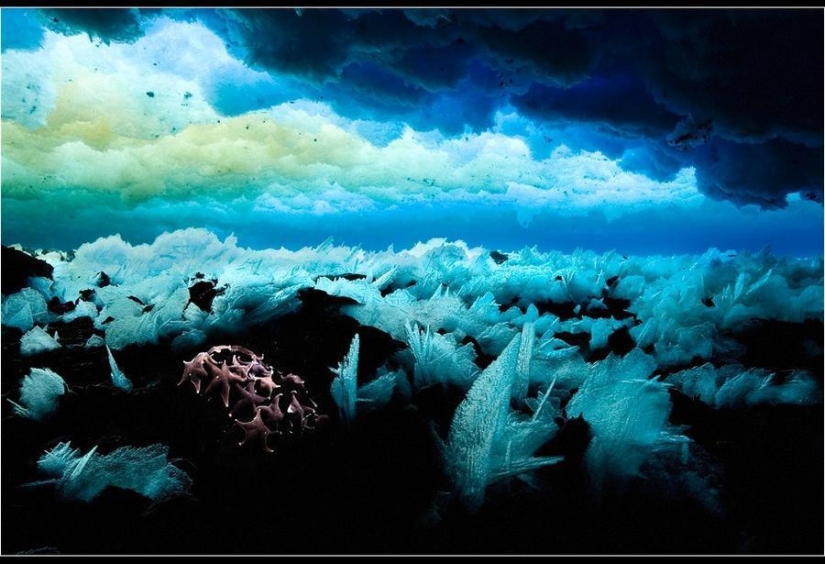 Increíbles fotos heladas de John Weller Increíbles fotos heladas de John Weller