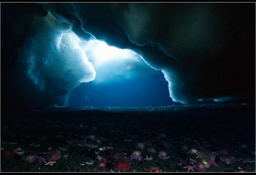 Increíbles fotos heladas de John Weller Increíbles fotos heladas de John Weller