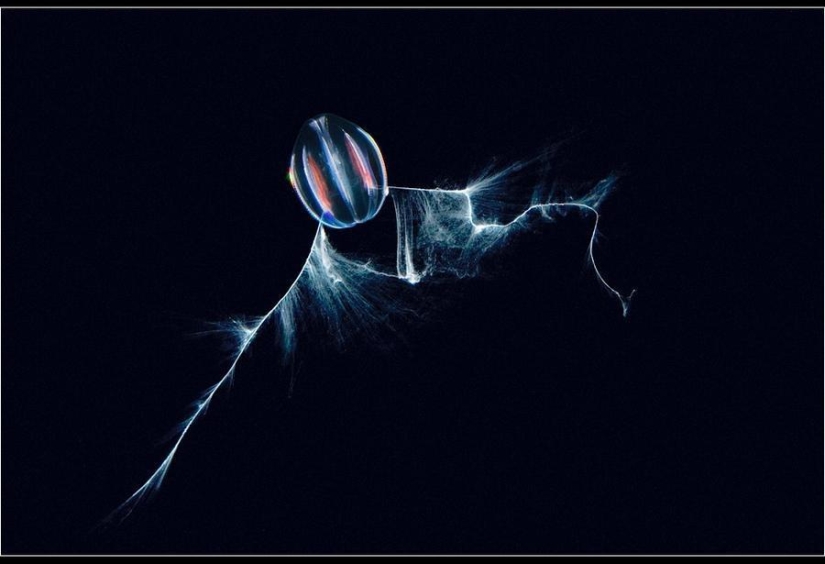 Increíbles fotos heladas de John Weller Increíbles fotos heladas de John Weller