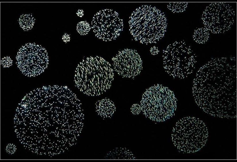 Increíbles fotos heladas de John Weller Increíbles fotos heladas de John Weller