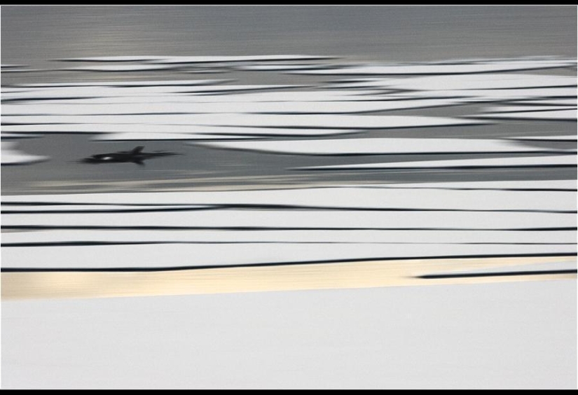 Increíbles fotos heladas de John Weller Increíbles fotos heladas de John Weller