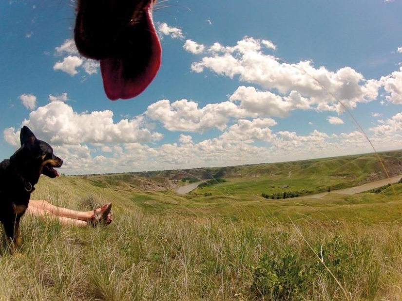 Increíbles fotos tomadas por animales.