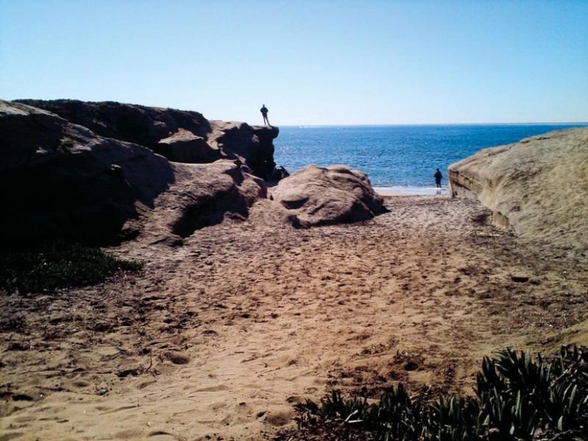 Increíbles fotos tomadas por animales.