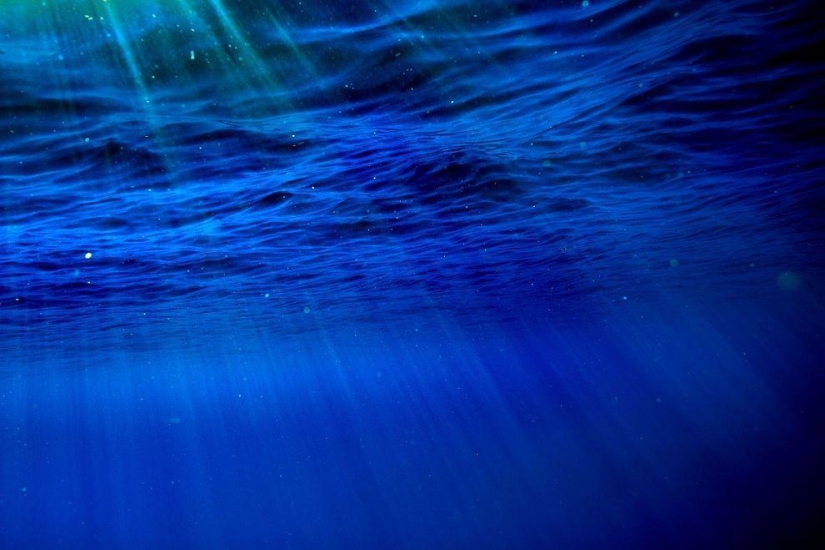 Increíbles imágenes de olas en la costa de Hawái