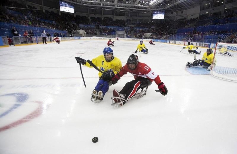 Increíbles Juegos Paralímpicos de Invierno 2014 Increíbles Juegos Paralímpicos de Invierno 2014